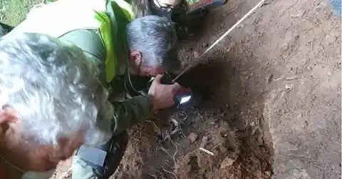 A Dig In The Countryside