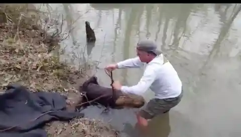 This Guy Tried To Rescue A Beaver, Got A Surprise Instead