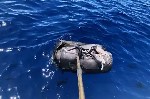 Man Reels In Bags Before Realizing What They Are