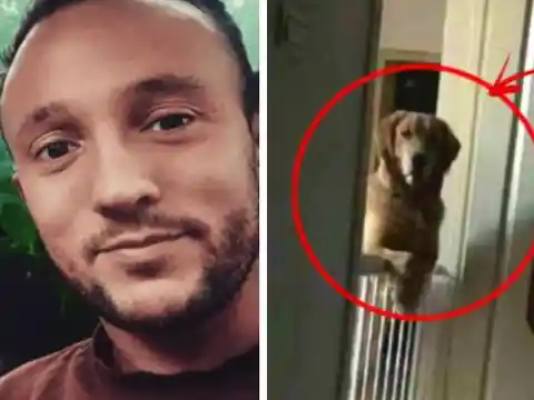Man Noticed That His Dog Watched Him Sleep Each Night Then He Realized The Heartbreaking Truth
