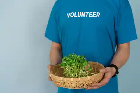 Green Leafed Vegetables