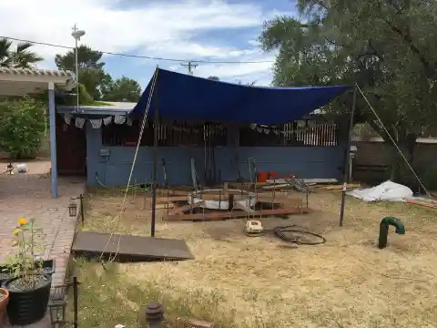He Thought It Was Just a Rumor, But What He Found In His Backyard Left Him Shocked!