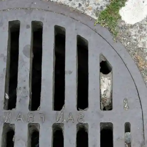 Why Were They In The Drain?