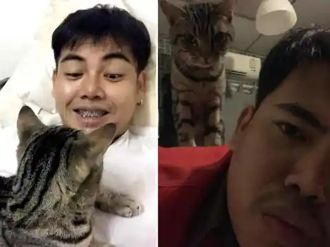 Man Learns Why He Can’t Breathe During Nights, His Cat Helps Solve The Mystery