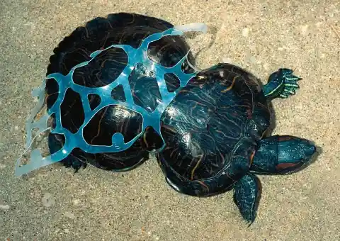 20 Heartbreaking Photos Of Pollution That Will Leave You Furious