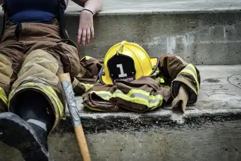 After Rescuing Them, Firemen Realized They Weren't Puppies