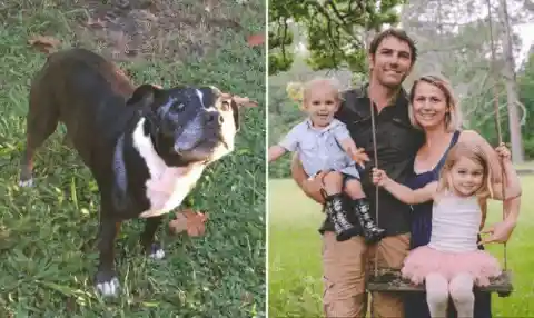 After This Family’s Dog Began Frantically Barking, Dad Realized That His Son Was In Grave Danger