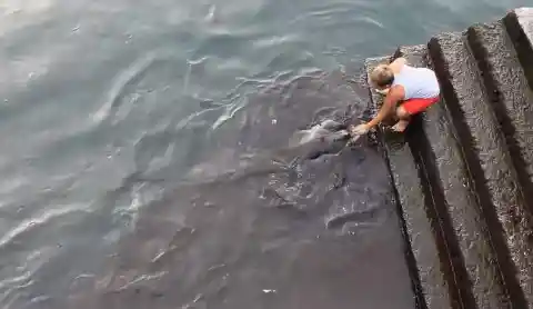 Little Boy Is Traumatized After Encountering This Sea Creature By The Docks