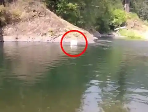 Un groupe d'amis trouve une glacière flottant dans le lac, mais ce qu'ils ont trouvé à l'intérieur les fait revenir en arrière