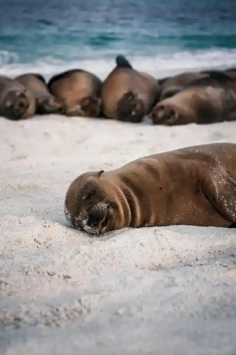 Galapagos Islands, Ecuador