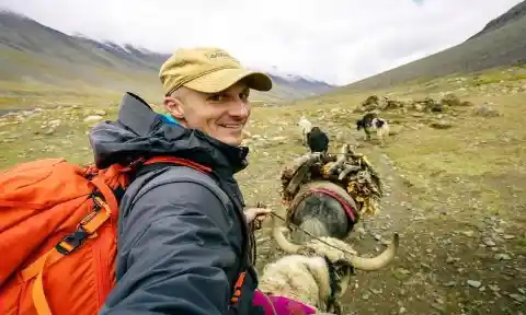 Getting A Ride From A Yak