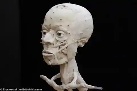 Scientist Reconstruct Face Of A 9500 Year Old Jericho Skull, What They Revealed Will Give You Chills!