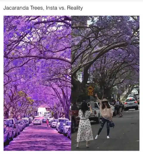Instagram versus reality
