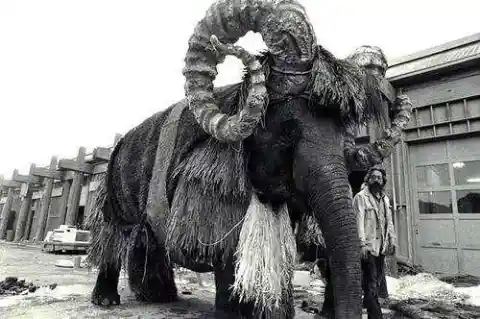 The Elephant in the Bantha Costume