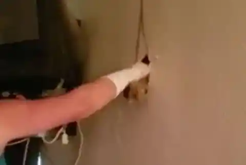 Mom Hears Crying From The Walls, So She Makes A Hole And Then Jumps Back