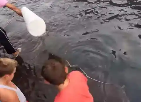 Little Boy Is Traumatized After Encountering This Sea Creature By The Docks